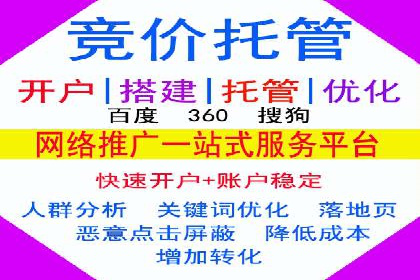 竞价推广公司案例：实战技巧与策略